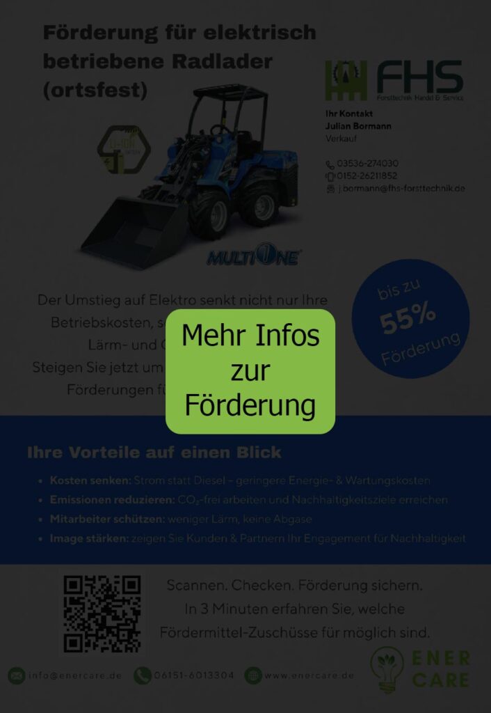 Flyer Elektrolader Förderung